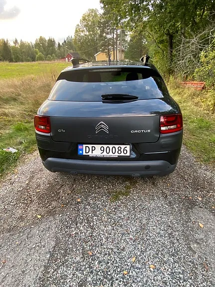 Citroen C4 Cactus 2016 photo 3
