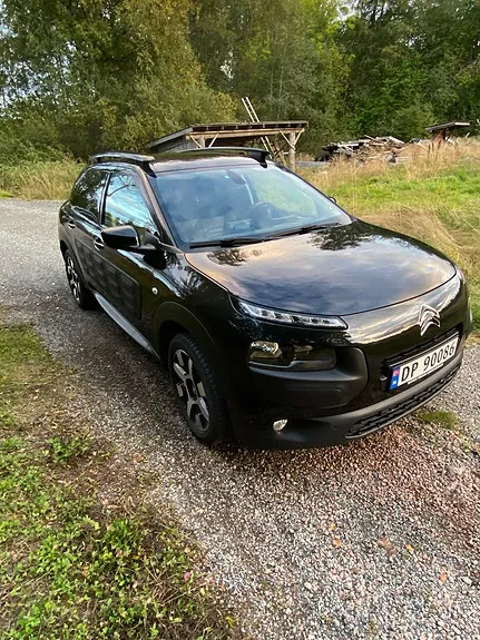 Citroen C4 Cactus 2016 photo 2