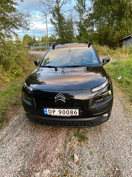 Citroen C4 Cactus 2016 photo 4