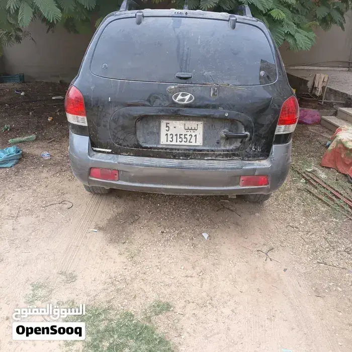 Hyundai Santa Fe 2005 photo 2