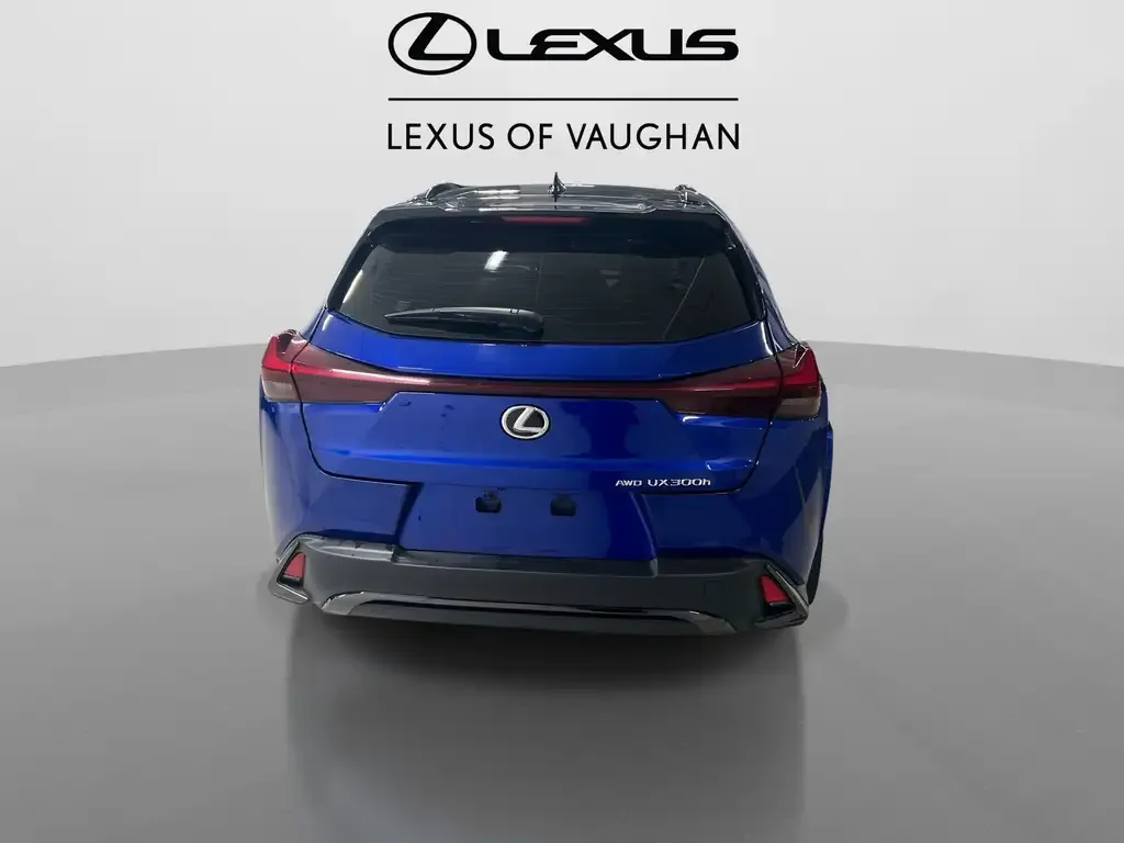 Lexus Ux 2025 photo 5