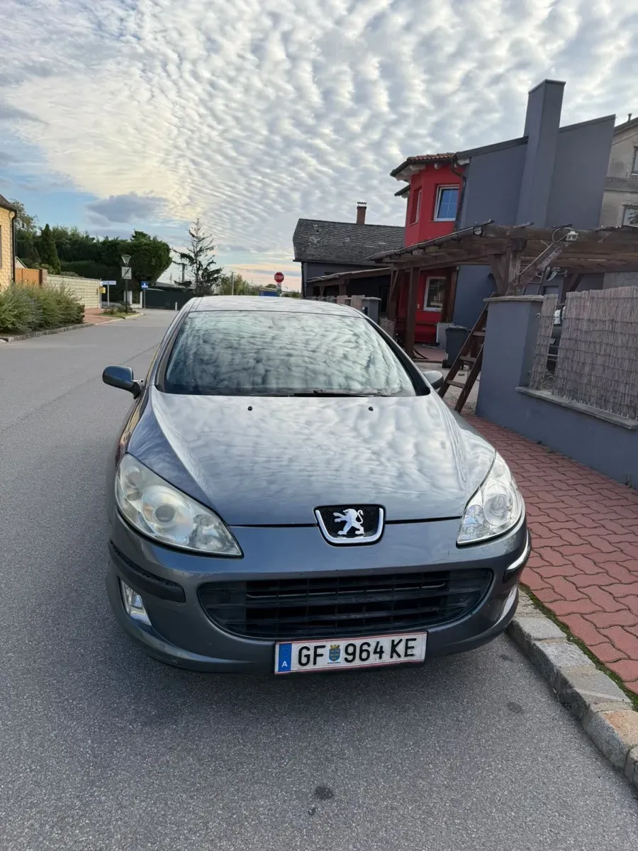 Peugeot 407 2005 photo 3