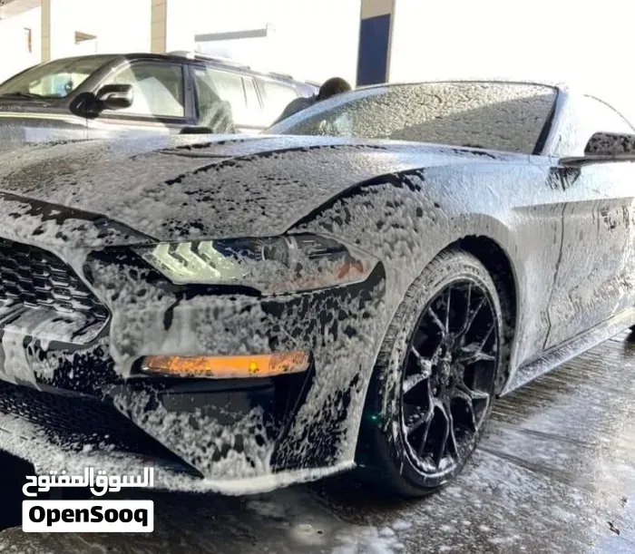 Ford Mustang 2018 photo 3