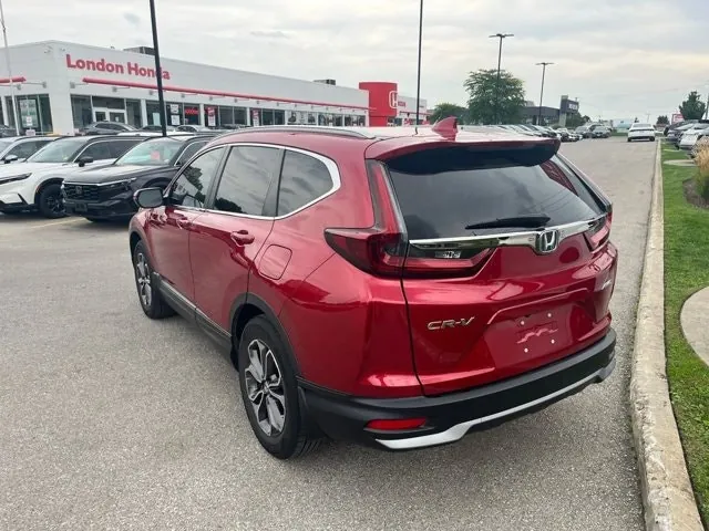Honda Cr-V 2022 photo 4