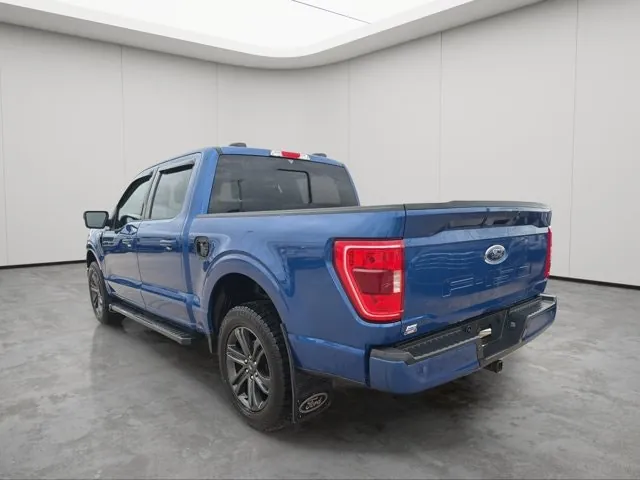 Ford F-150 2022 photo 3