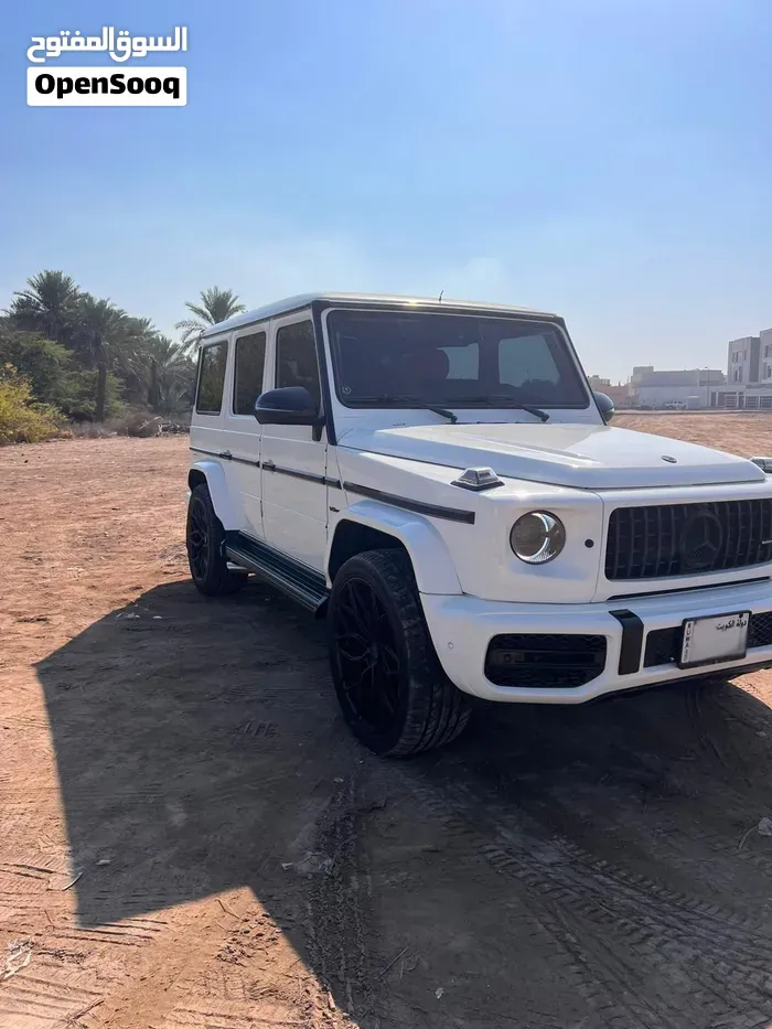 Mercedes-Benz G-Class 2011 photo 5