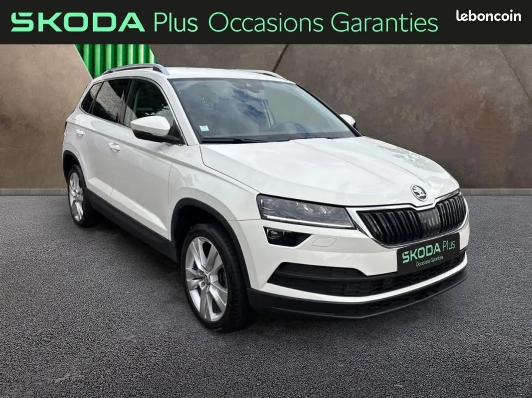 Skoda Karoq 2020 photo 4