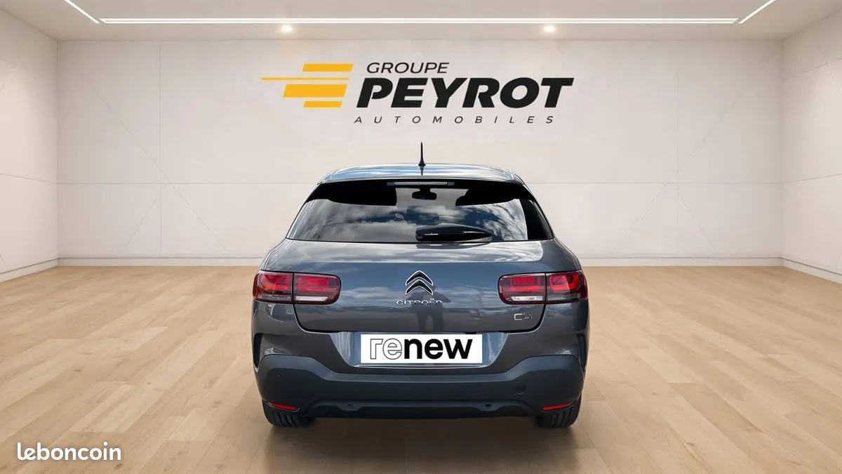 Citroen C4 Cactus 2020 photo 4