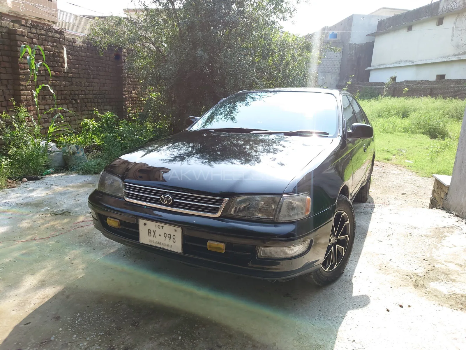 Toyota Corona