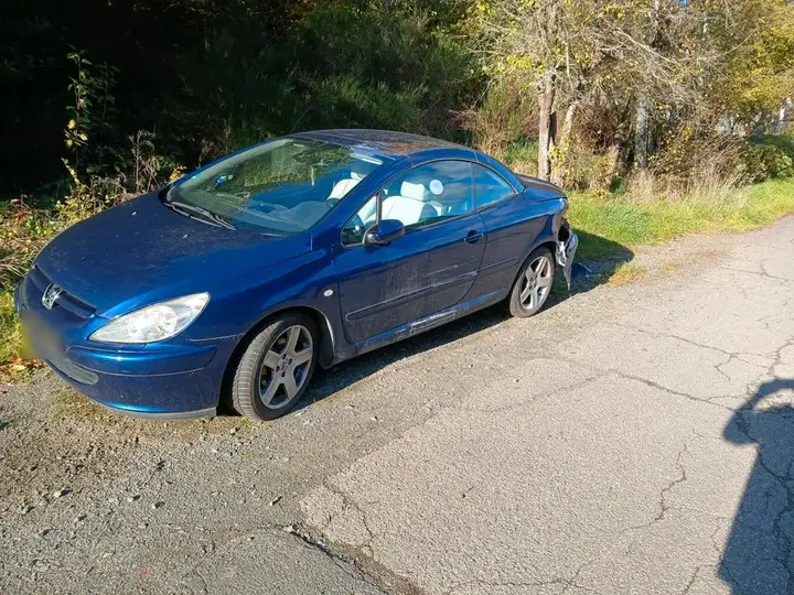 Peugeot 307Cc Cabrio
