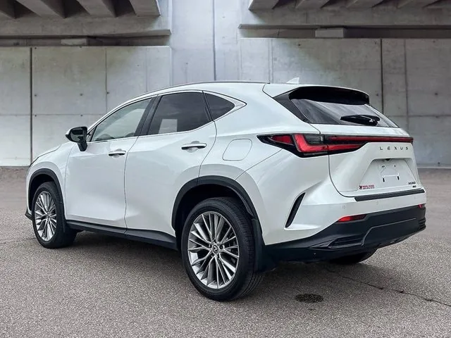Lexus Nx 2024 photo 5