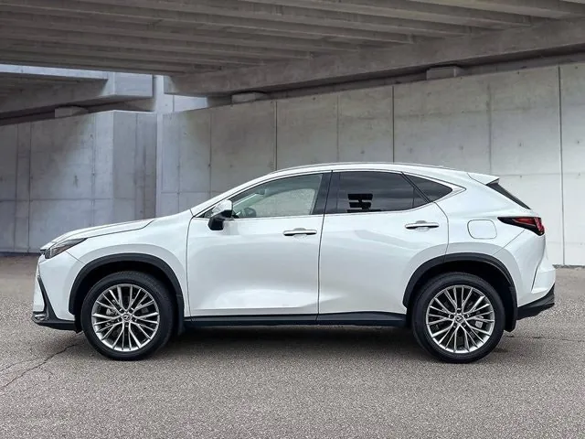 Lexus Nx 2024 photo 4