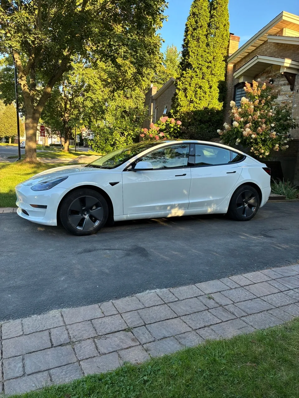 Tesla Model 3 2022 photo 4
