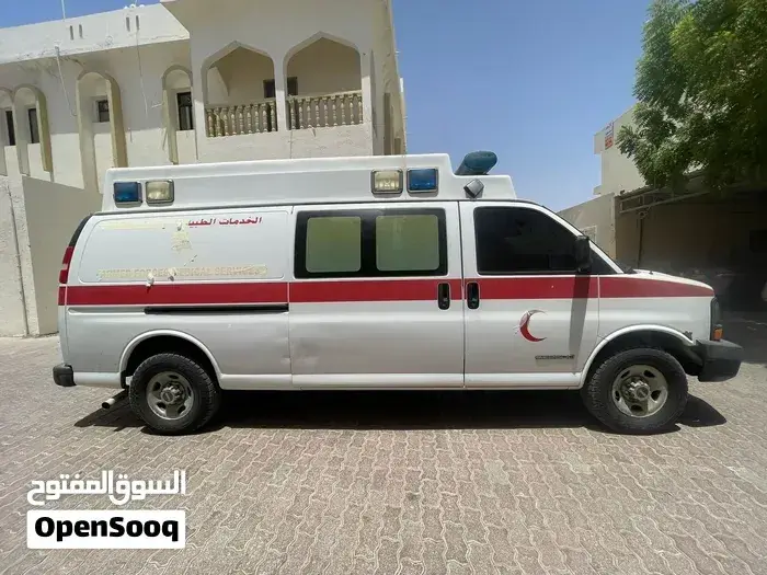 GMC Savana 2006 photo 3