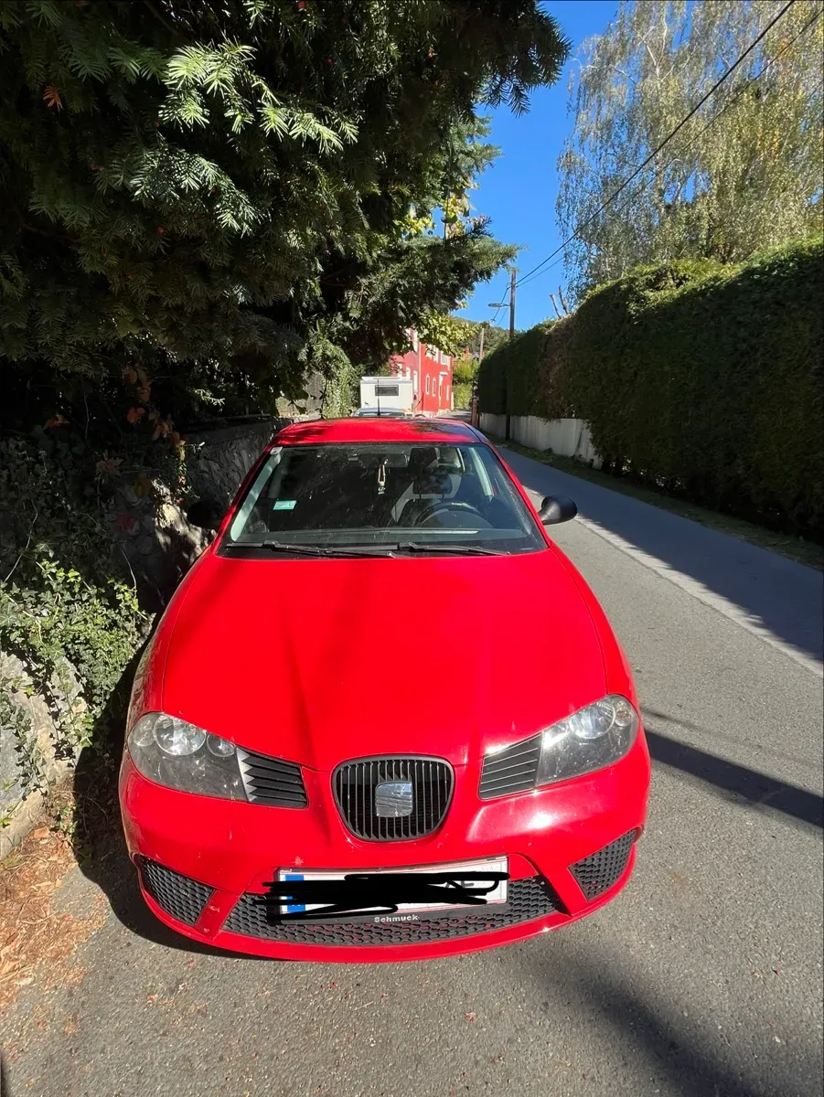 Seat Ibiza 2004 photo 3