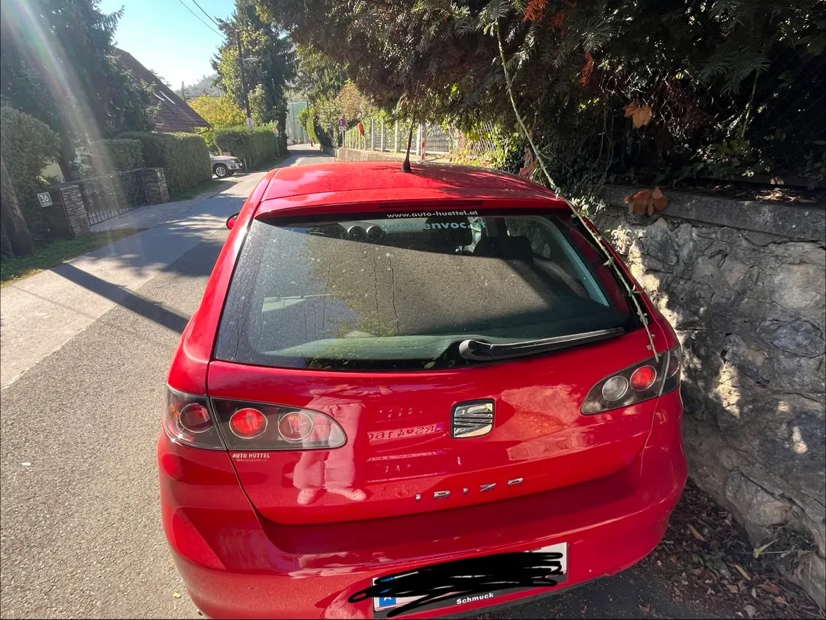 Seat Ibiza 2004 photo 2