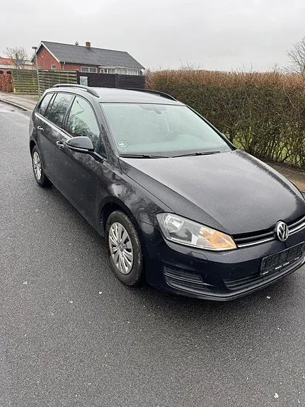 Volkswagen Golf Vii 2014 photo 3