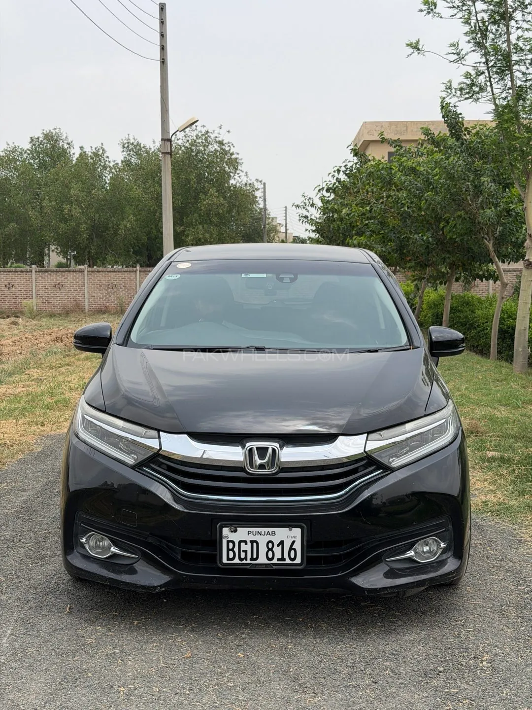 Honda Jade