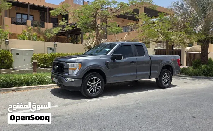 Ford F-150 2021 photo 3