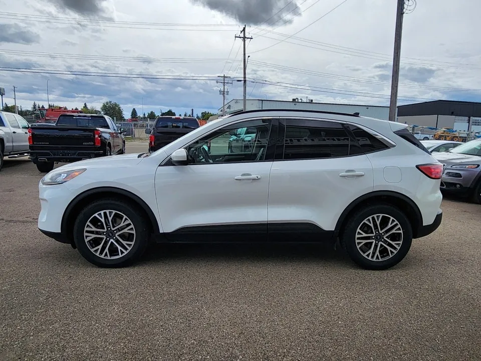 Ford Escape 2020 photo 3