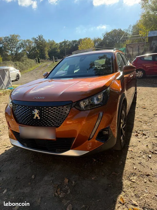 Peugeot 2008 2020 photo 2