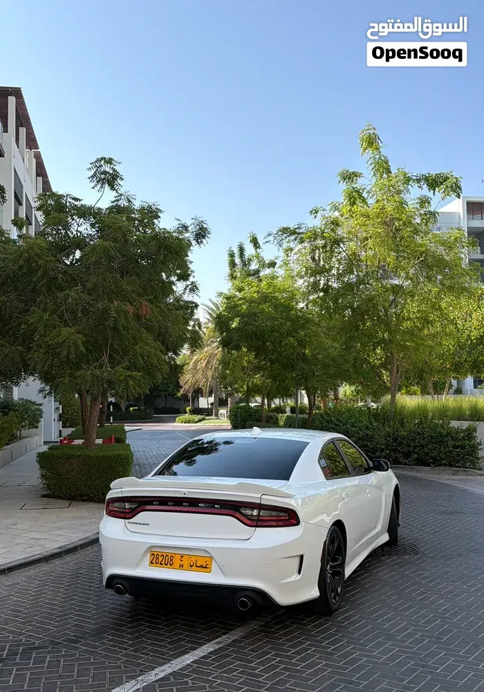 Dodge Charger 2019 photo 3
