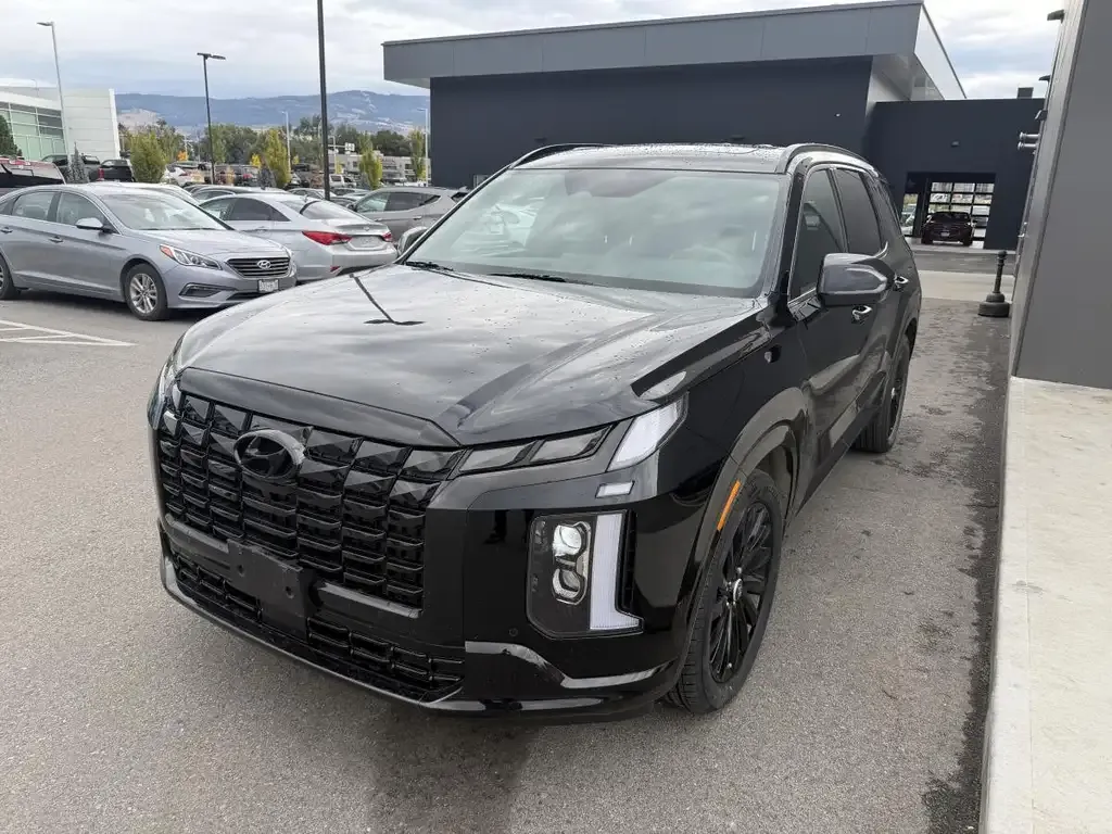 Hyundai Palisade 2025 photo 2