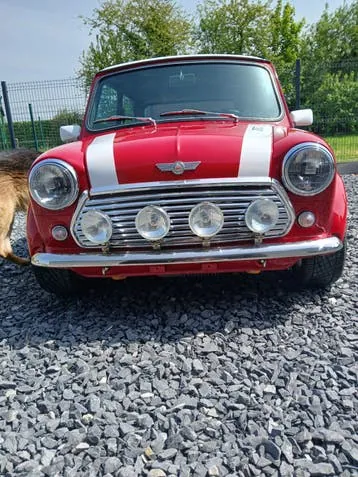 Austin Mini