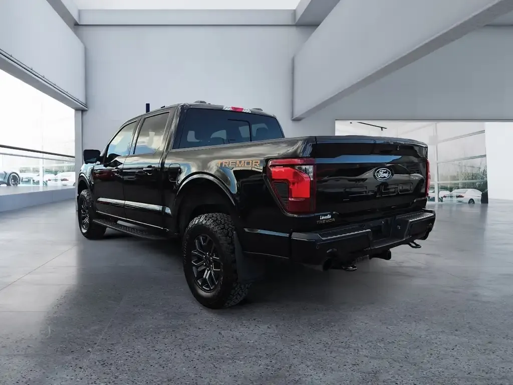 Ford F-150 2025 photo 4
