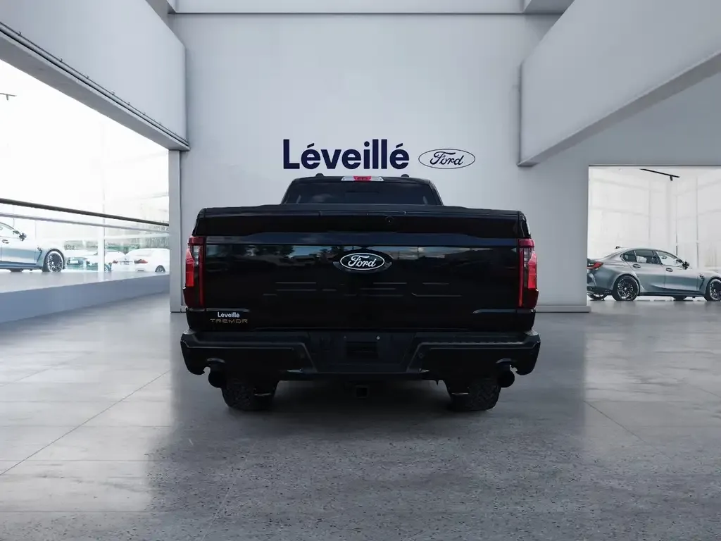 Ford F-150 2025 photo 3