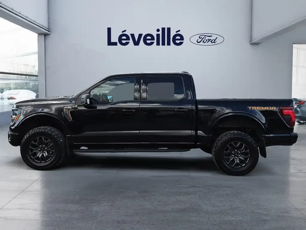 Ford F-150 2025 photo 5