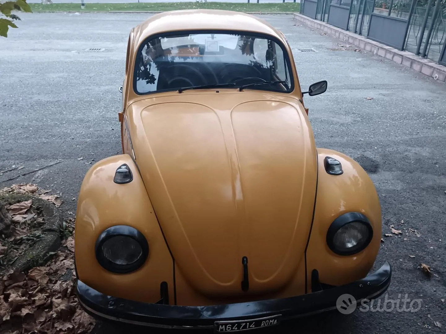 Volkswagen Maggiolino