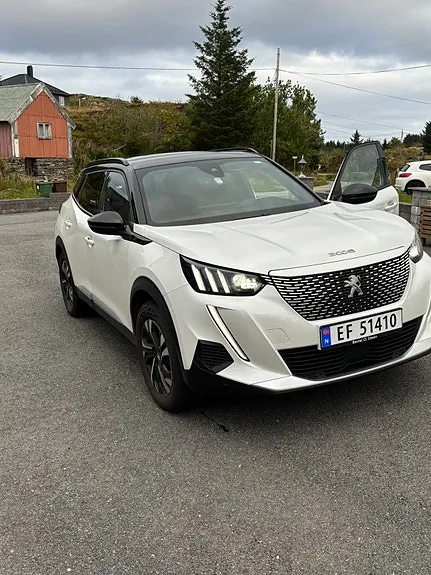 Peugeot E-2008