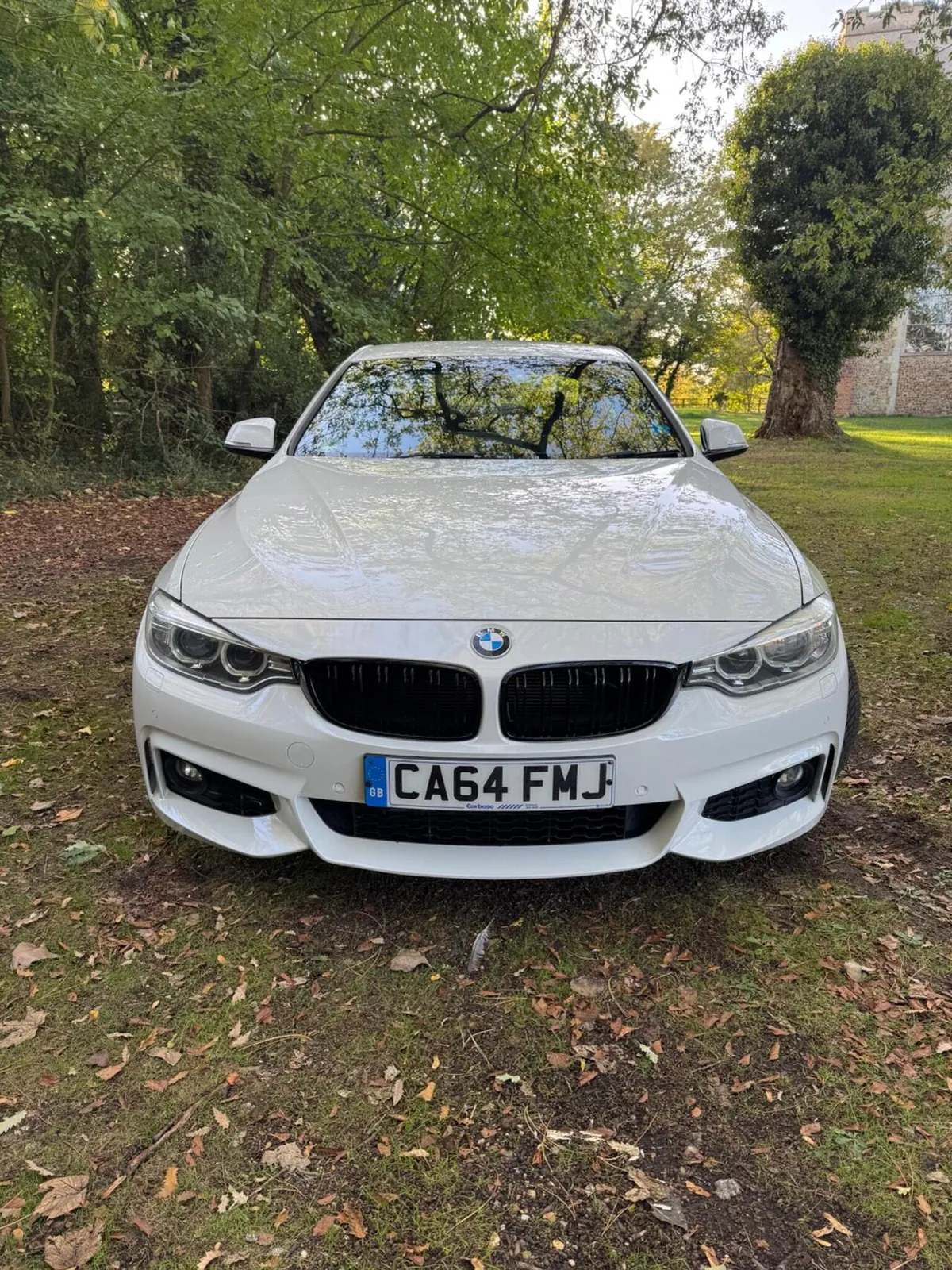 BMW 4 Series 2014 photo 2