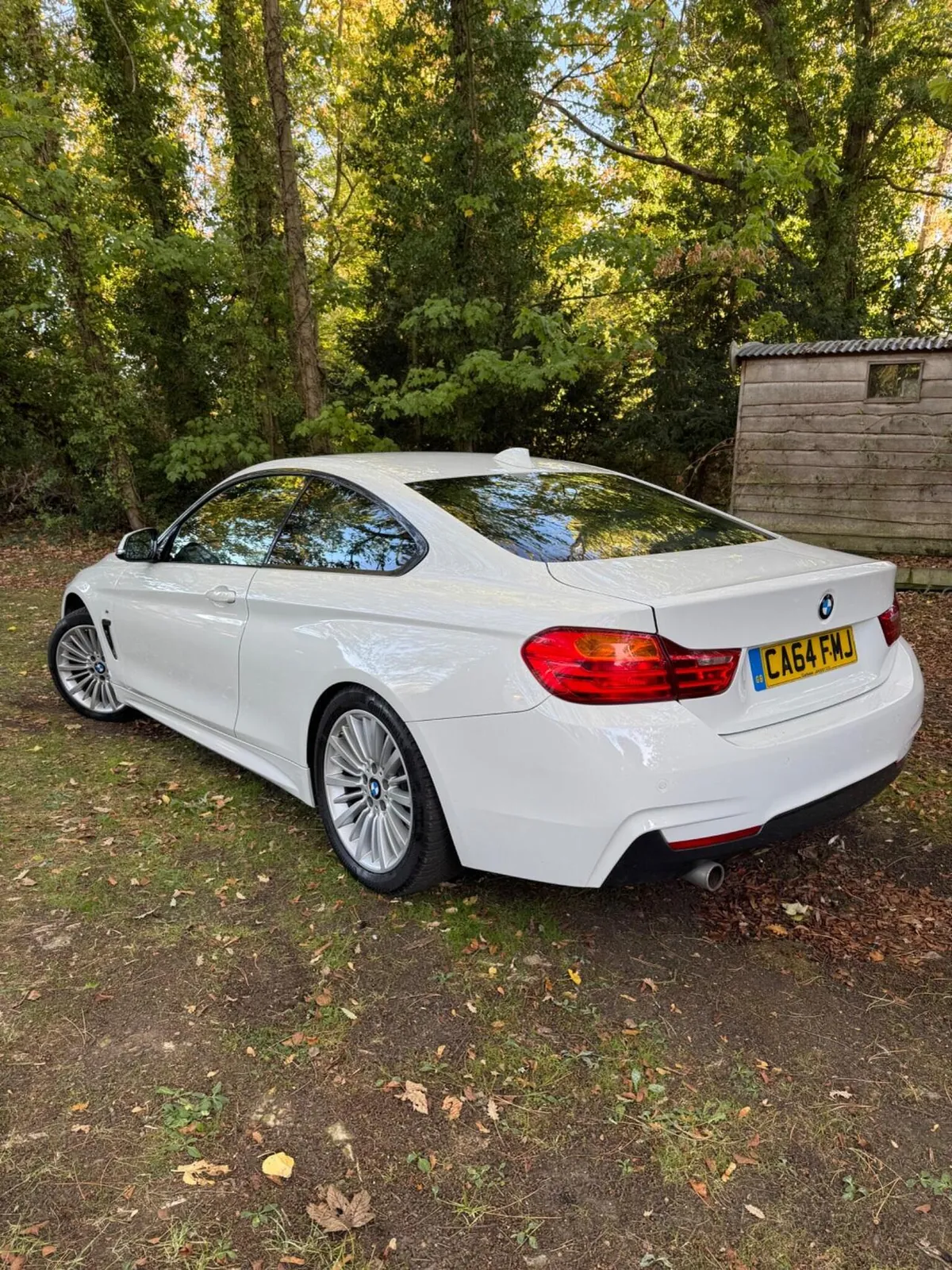 BMW 4 Series 2014 photo 5