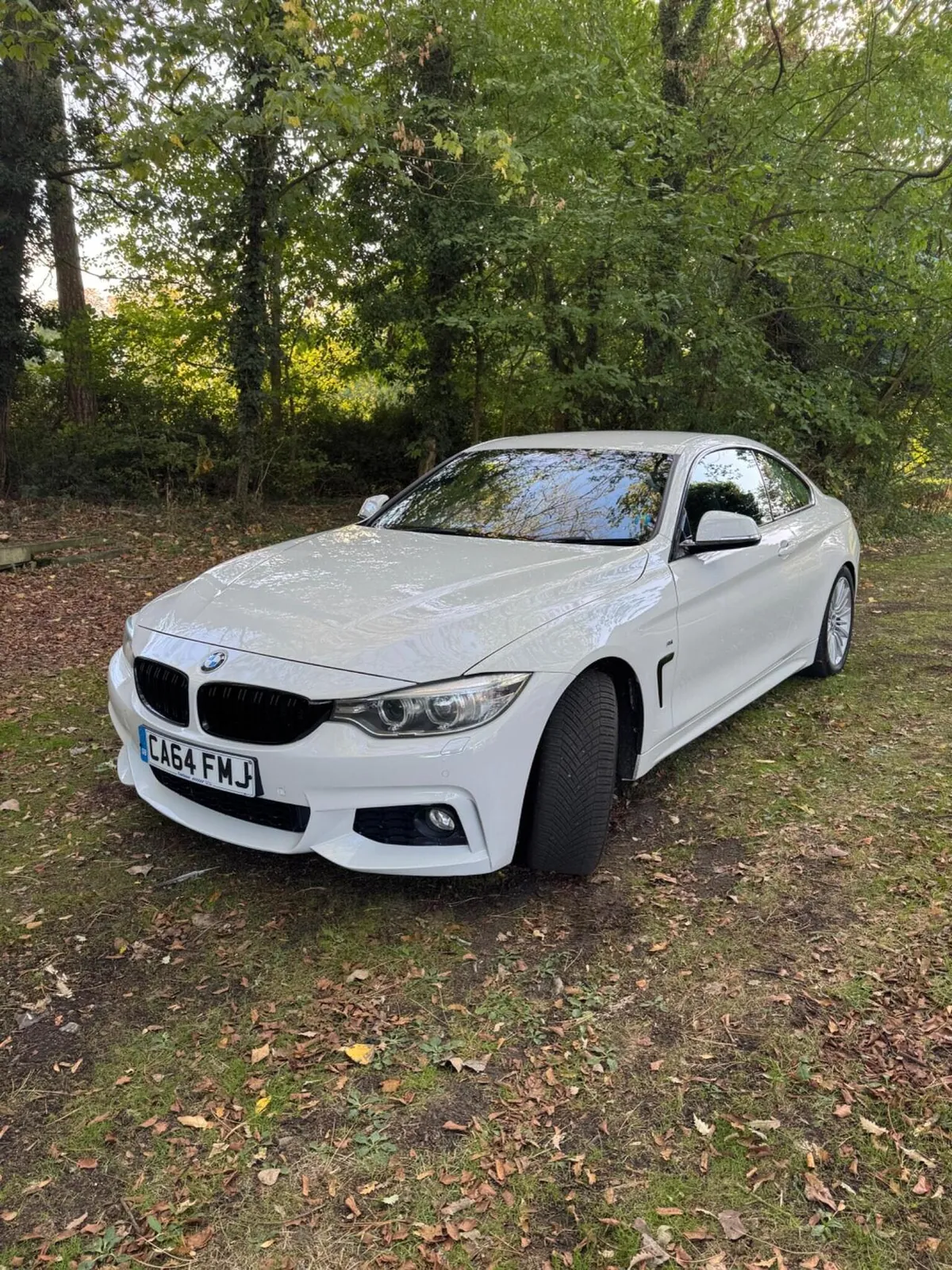 BMW 4 Series 2014 photo 3