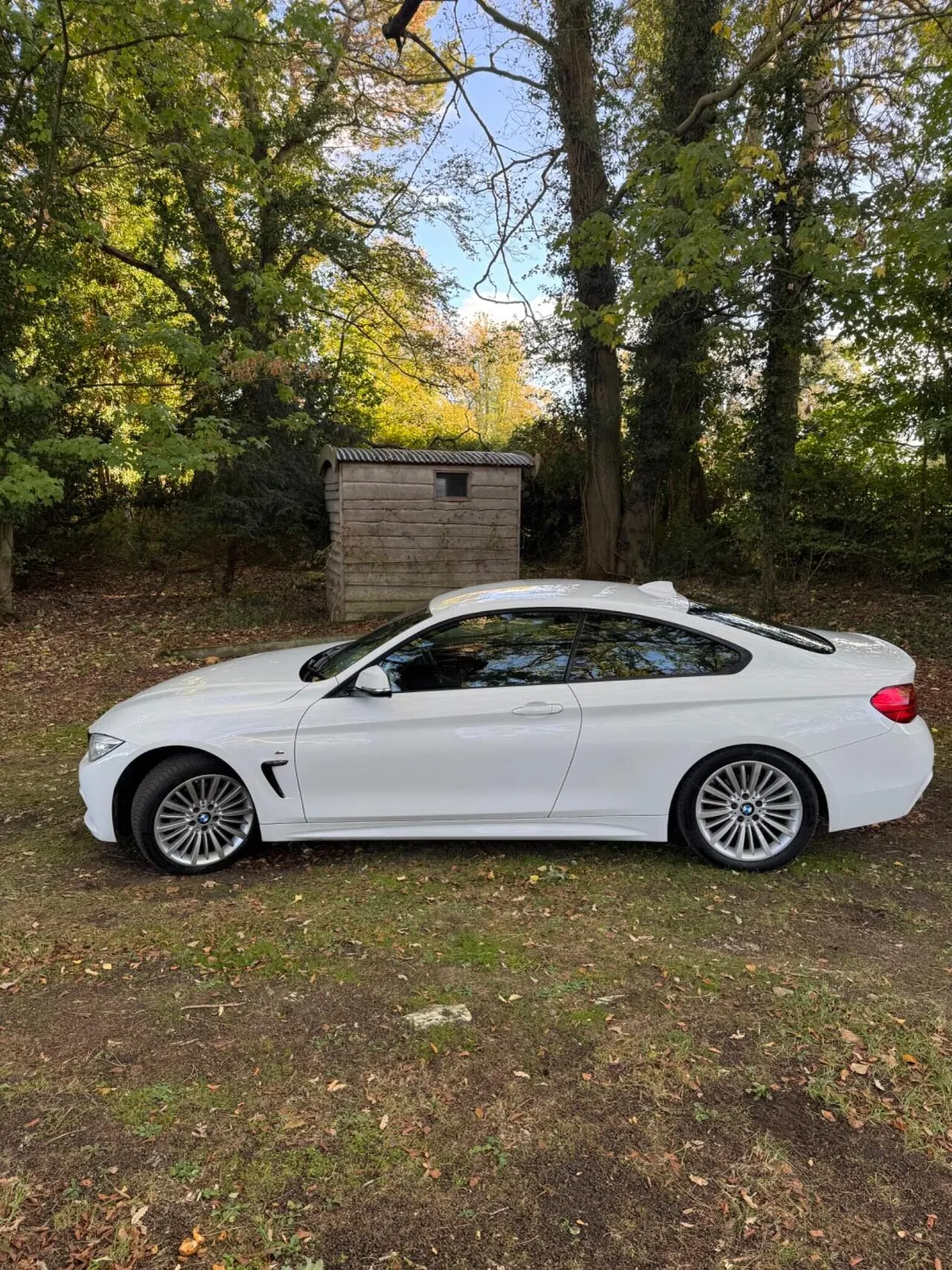 BMW 4 Series 2014 photo 4