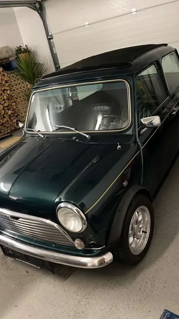 Mini Paceman