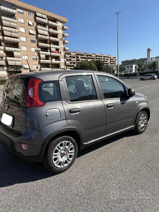 Fiat Panda 2024 photo 3