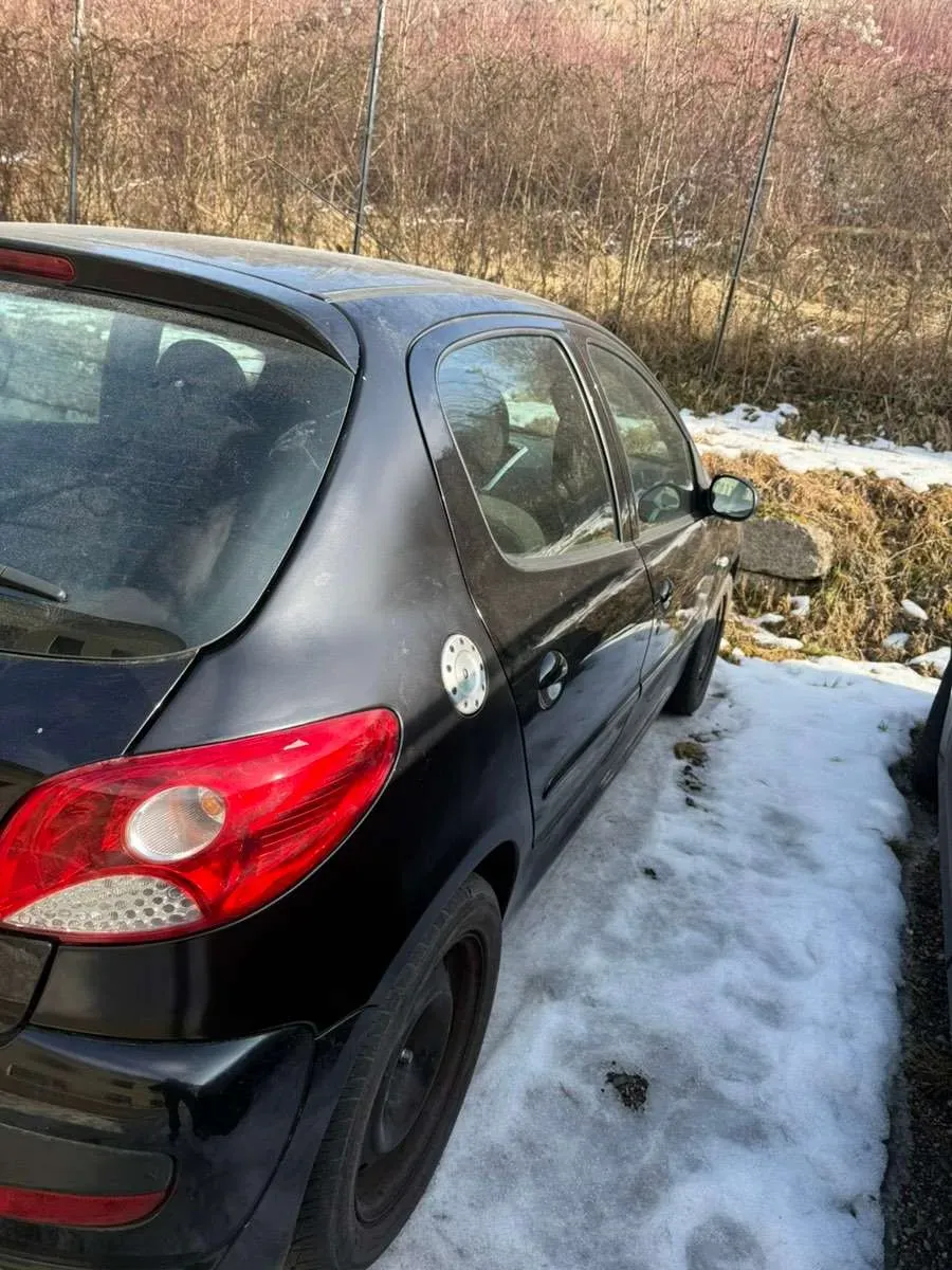 Peugeot 206 2010 photo 3