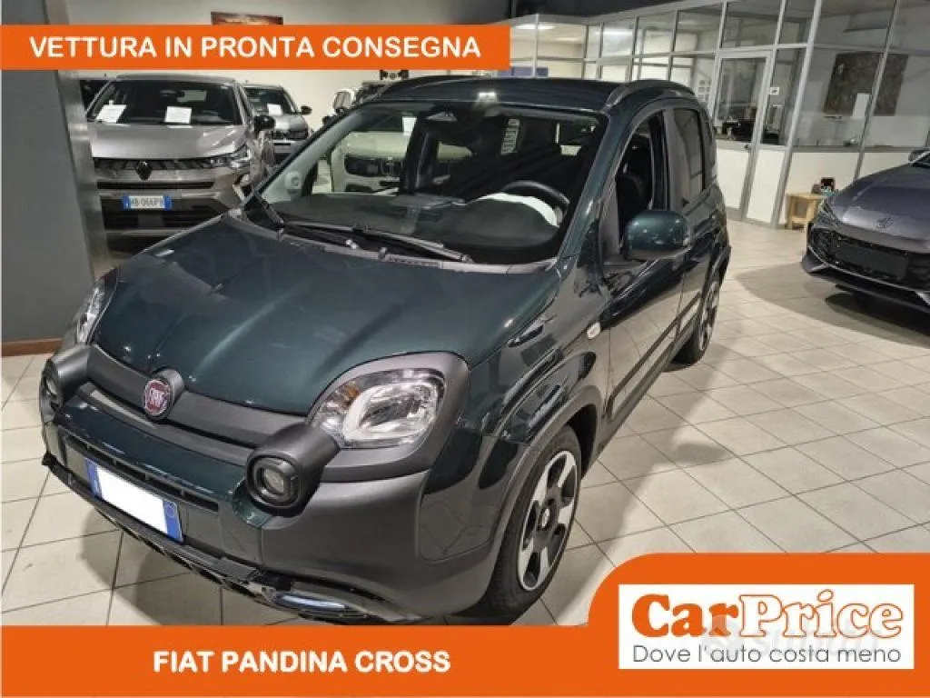 Fiat Pandina