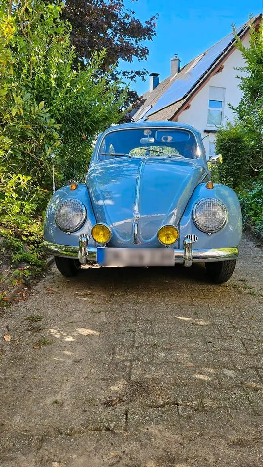 Volkswagen 1200 Export