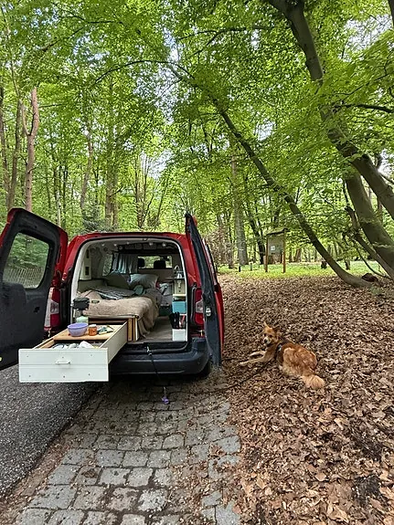 Peugeot Partner 2019 photo 3