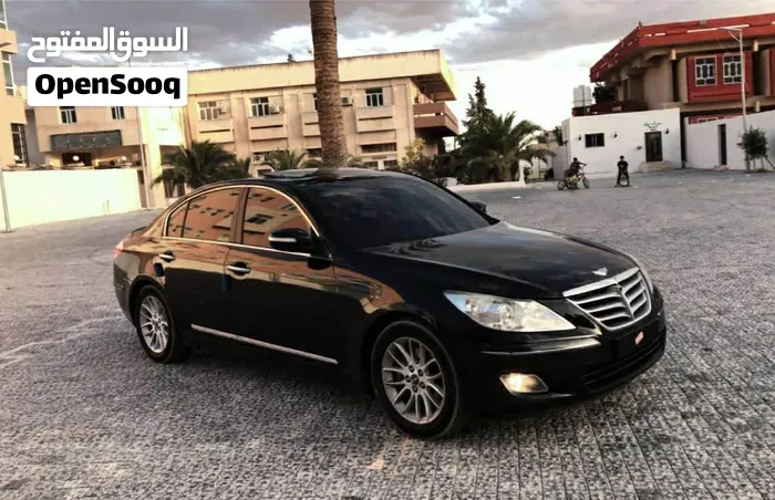 Genesis Sonata 2010 photo 4