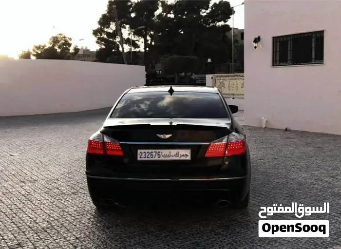 Genesis Sonata 2010 photo 3
