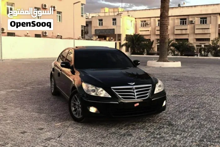 Genesis Sonata 2010 photo 2