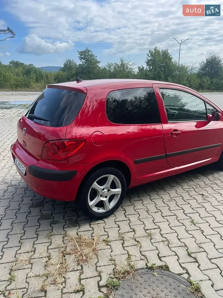 Peugeot 307 2006 photo 5