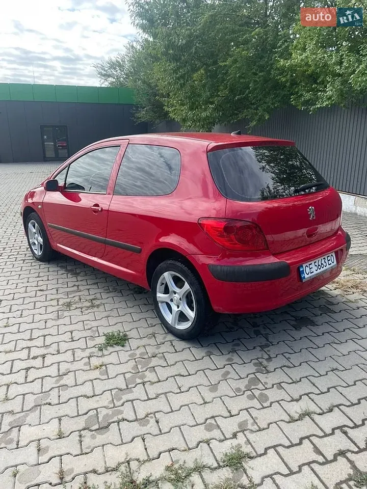 Peugeot 307 2006 photo 3