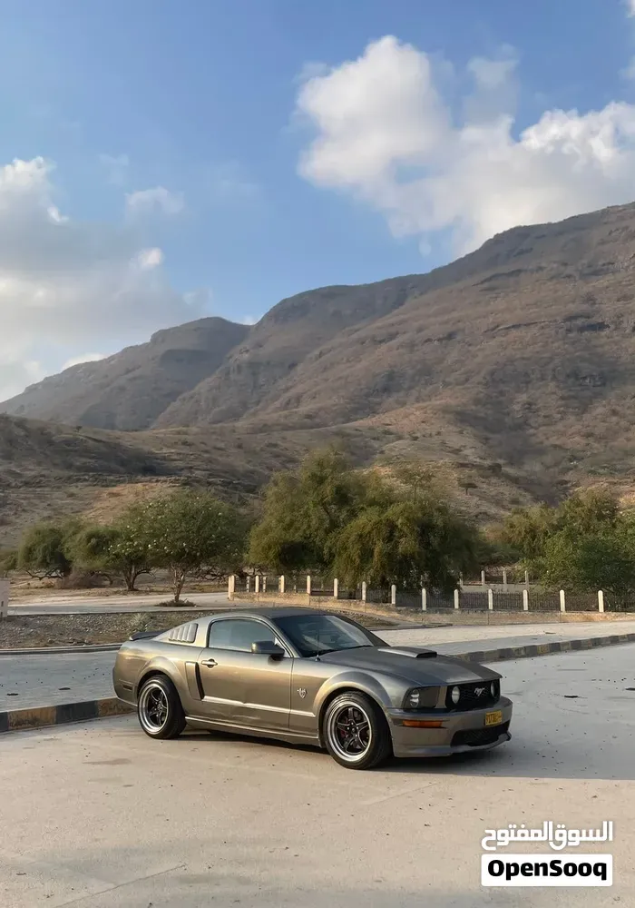 Ford Mustang 2005 photo 3