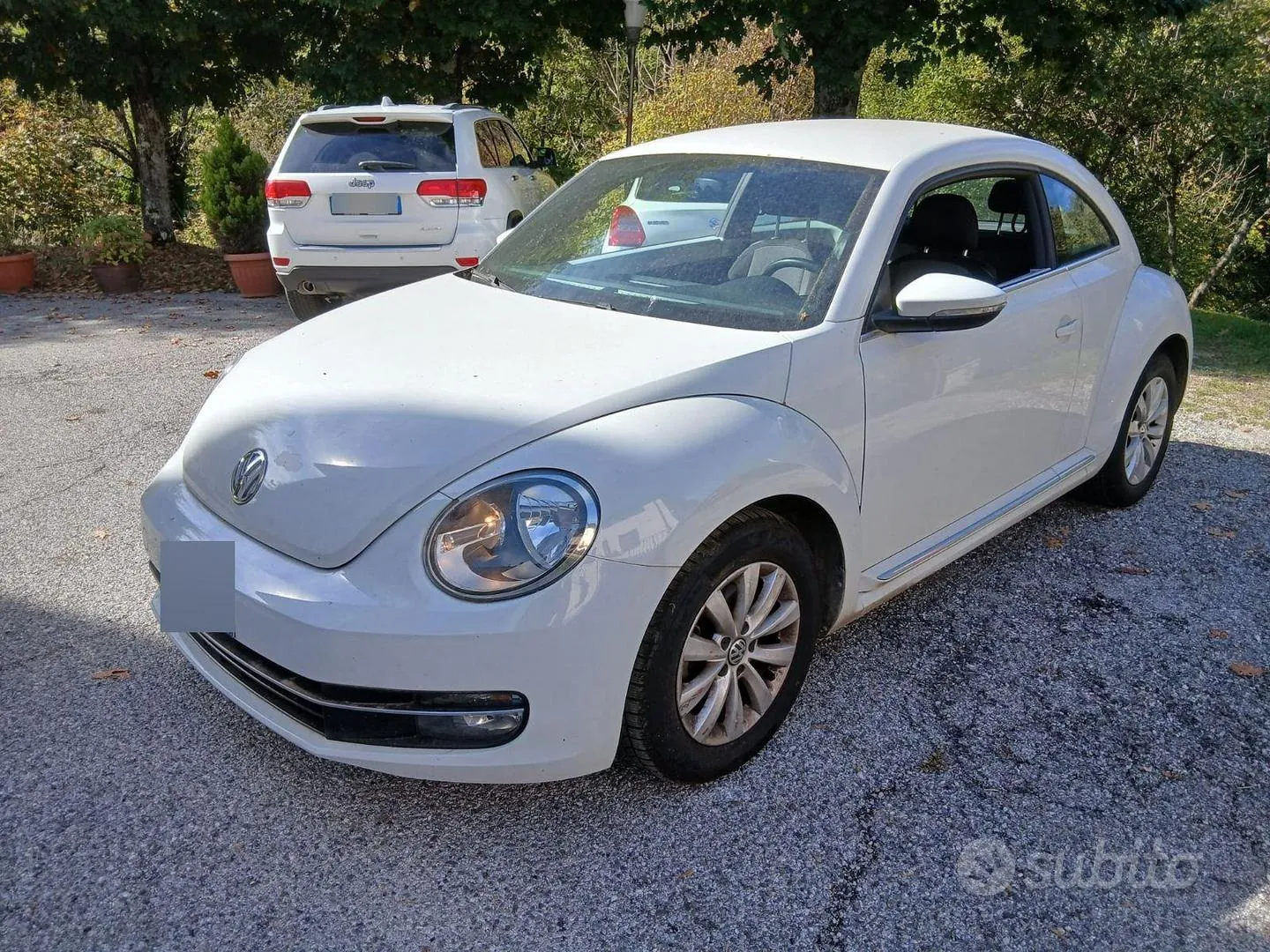 Volkswagen Maggiolino